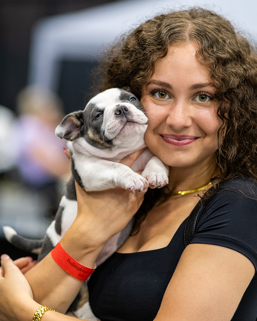 Final bully dog campaign photograph from the gallery