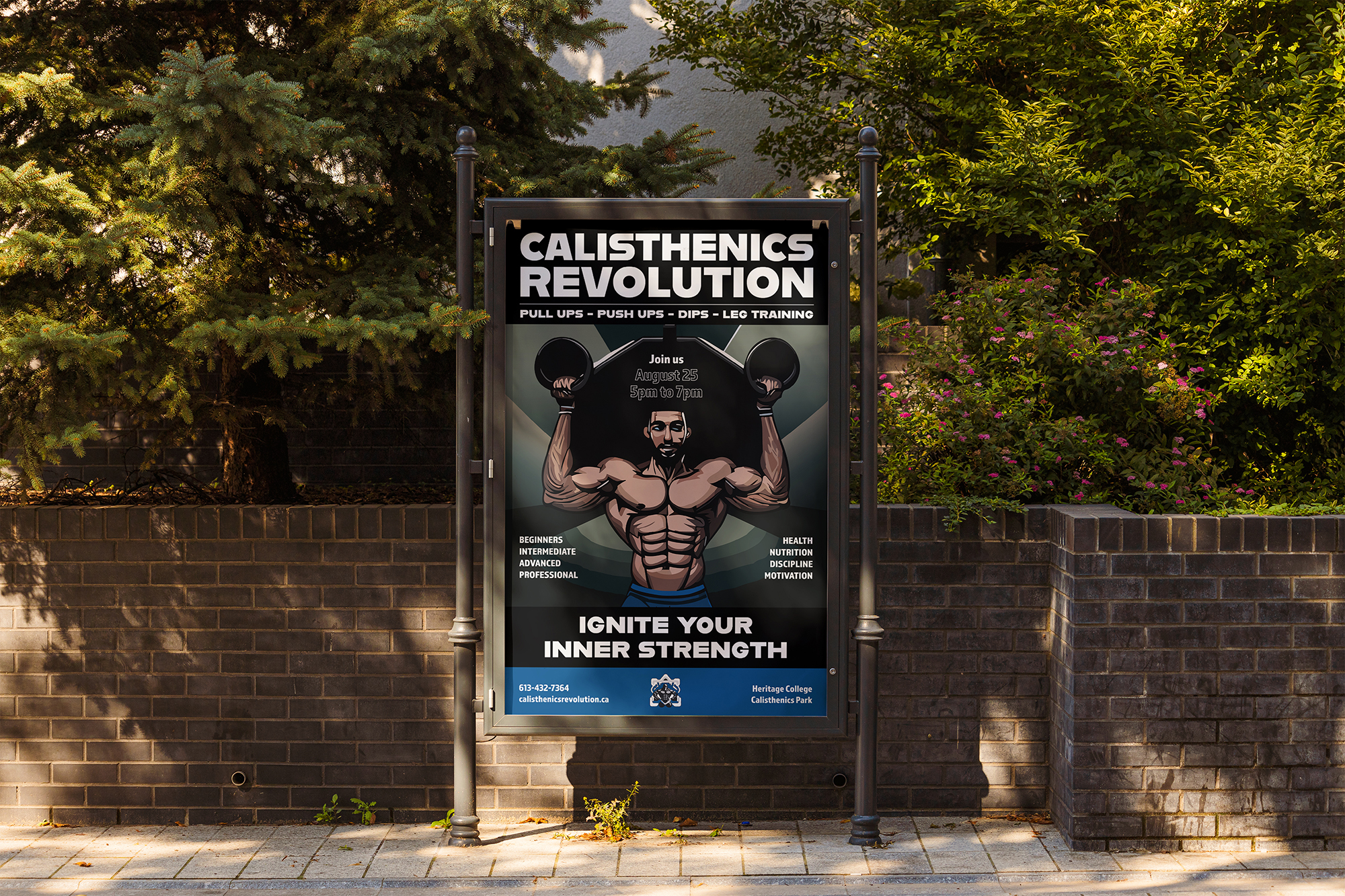 Calisthenics poster primary presentation
