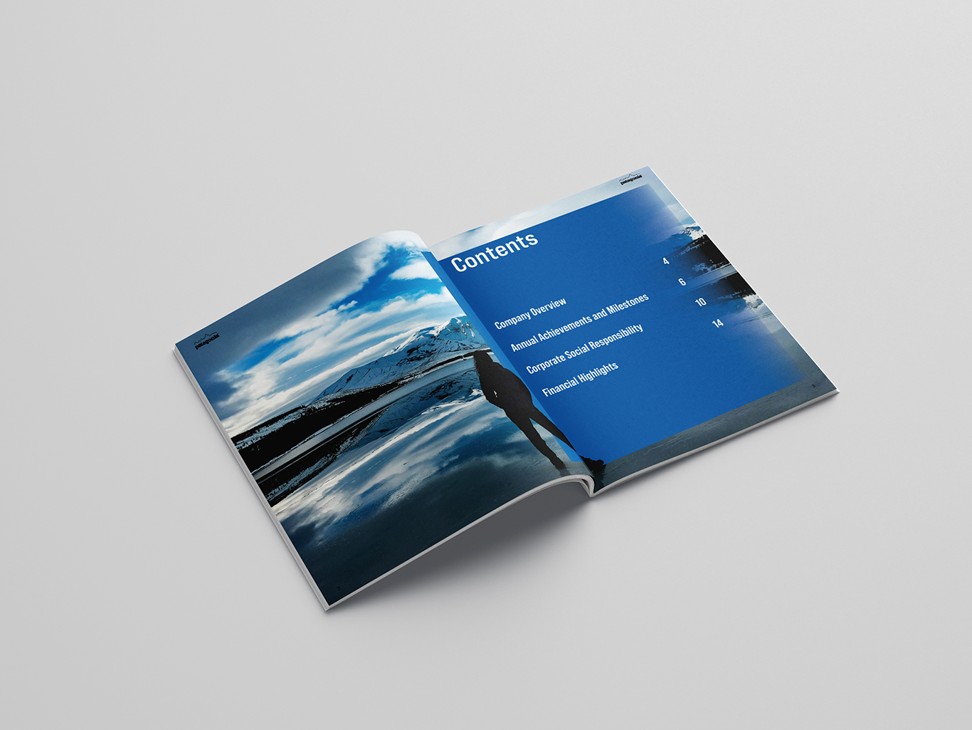 Patagonia Annual Report spread mockup