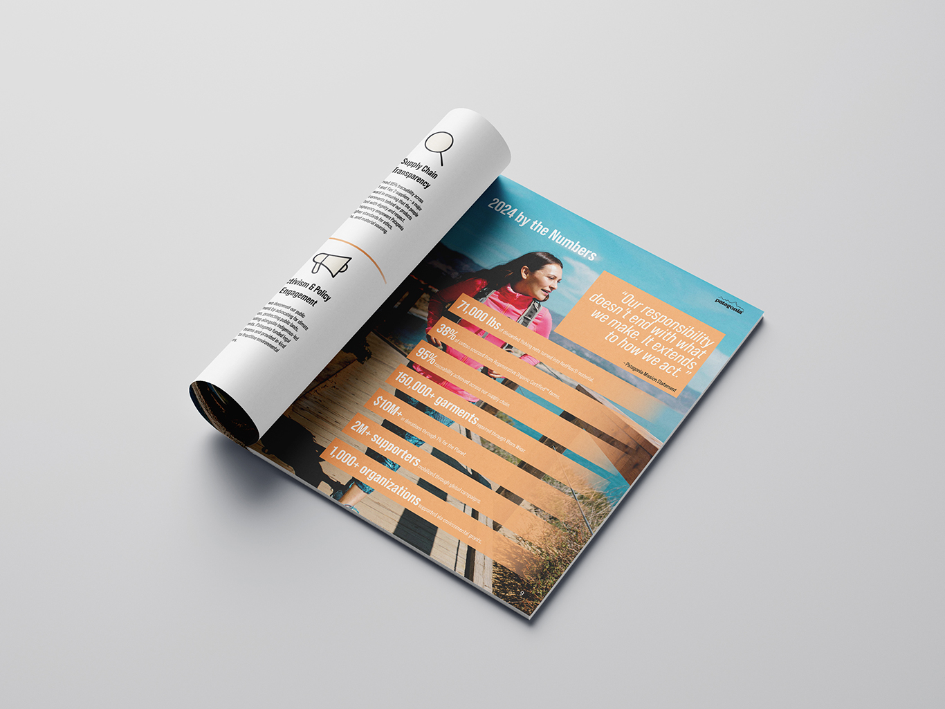 Patagonia Annual Report final presentation mockup
