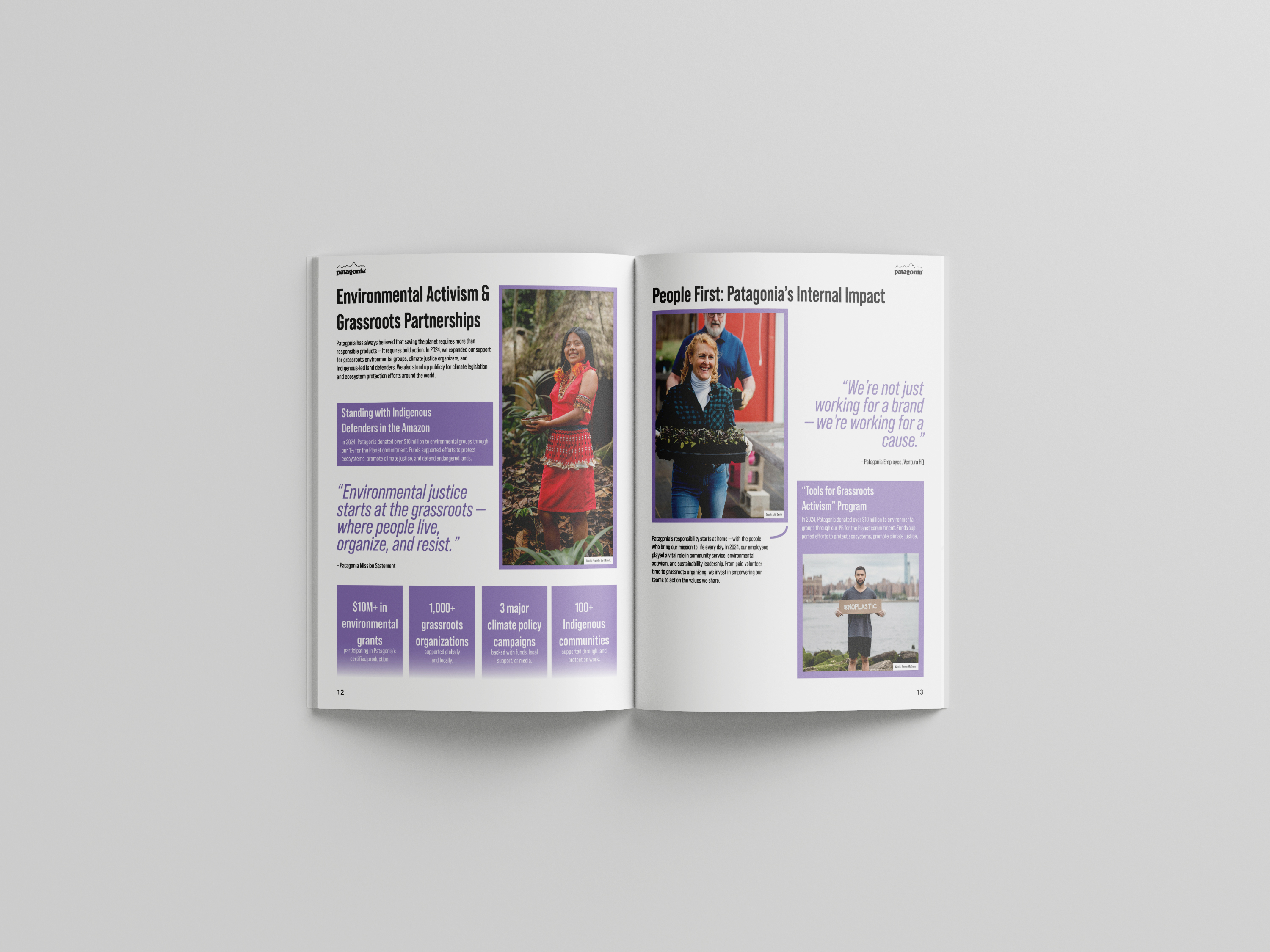 Patagonia Annual Report detailed layout mockup
