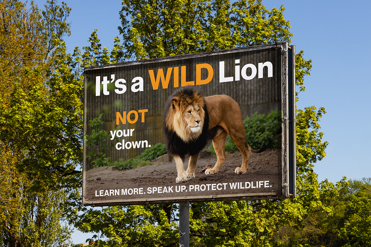 Preview of Wildlife PSA Campaign project